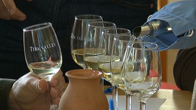 Kísérleti borok bemutatója