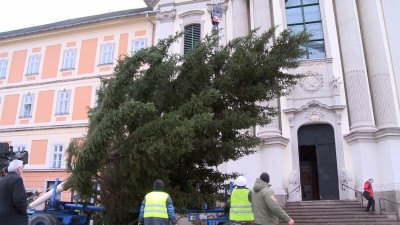 Karácsonyfa a Dobó téren