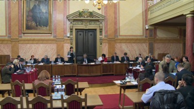 Közgyűlés