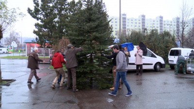 Fát ajándékoz a nemzeti park